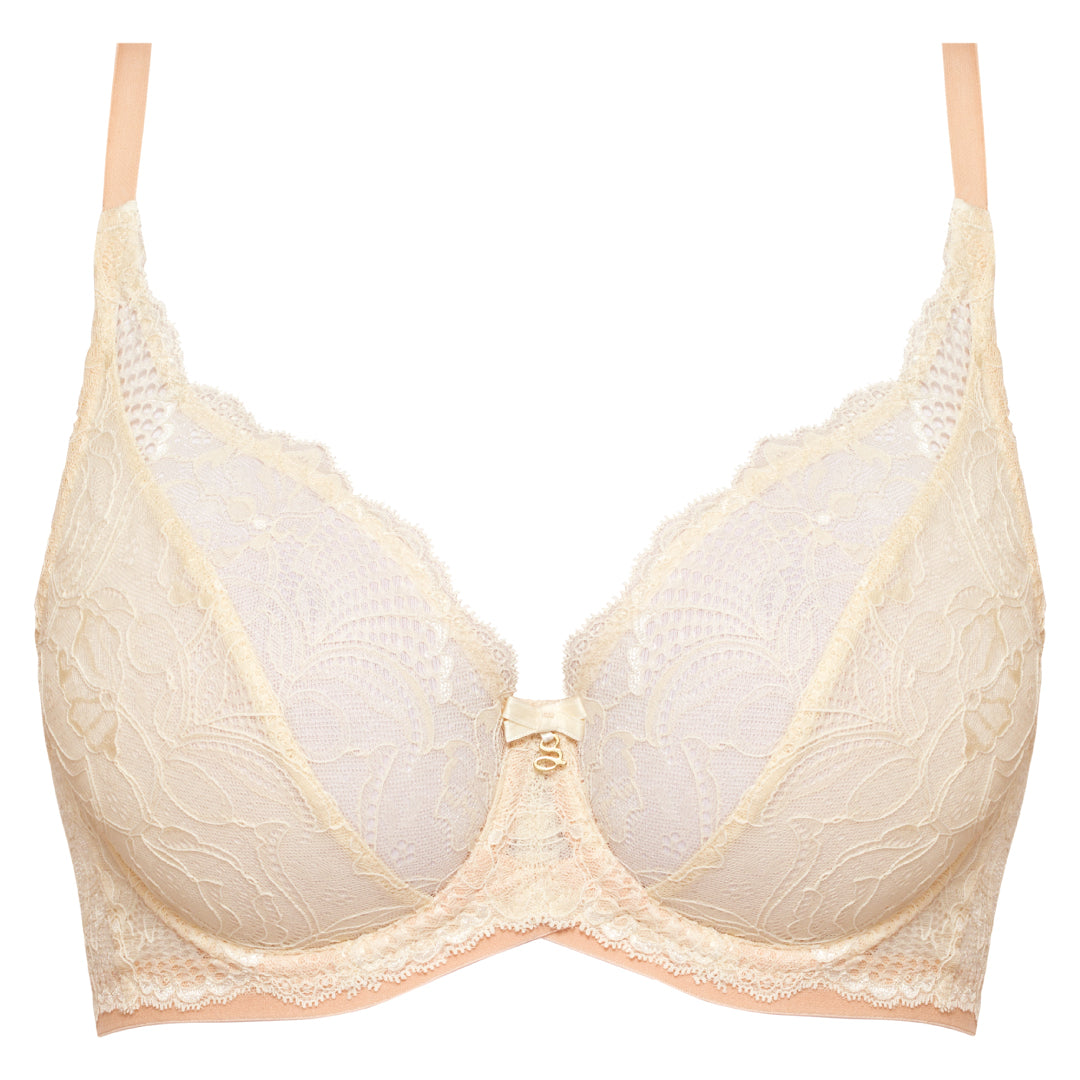 Sheer Lace Plunge Underwire Bra Anabelle